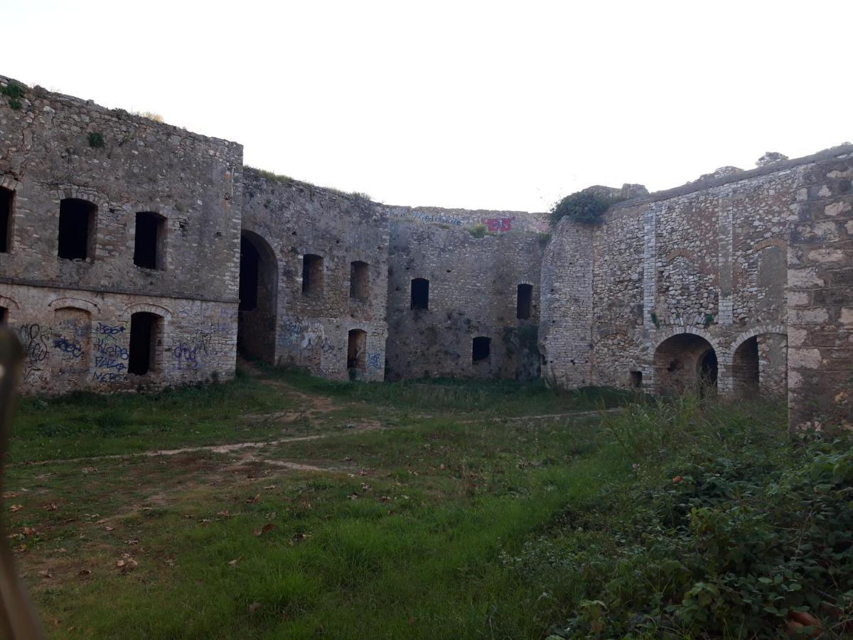 Nestor Sea Studio بريفيزا المظهر الخارجي الصورة